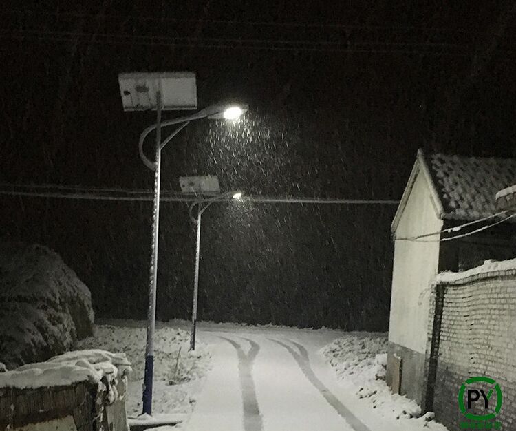 新農村太陽能路燈