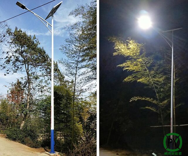 6米高的太陽能燈照亮了村民夜晚出行路