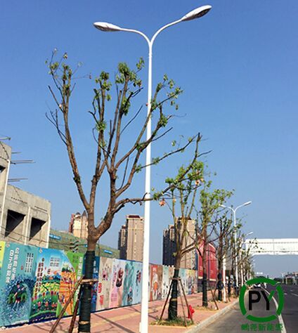 市電led路燈